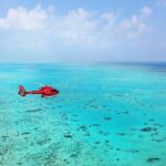 Great Barrier Reef 30-Minute Scenic Helicopter Tour from Cairns - The Itinerary in Detail