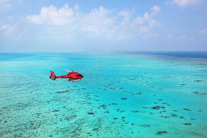 Great Barrier Reef 30-Minute Scenic Helicopter Tour from Cairns - The Itinerary in Detail
