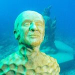 Great Barrier Reef and MOUA Snorkeling Day Tour from Townsville - What Past Travelers Say