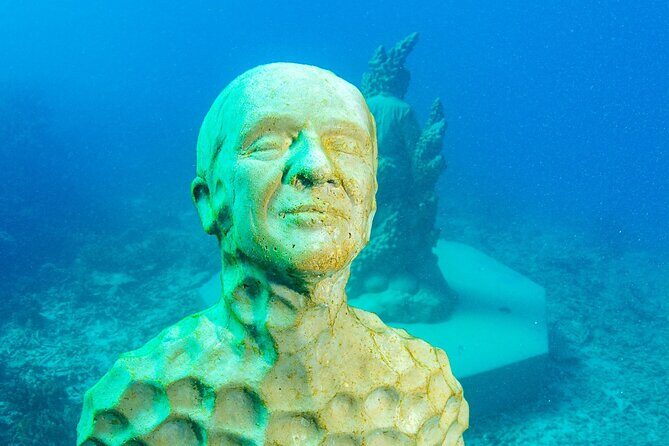 Great Barrier Reef and MOUA Snorkeling Day Tour from Townsville - What Past Travelers Say