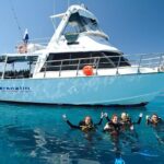 Great Barrier Reef Cruise from Townsville or Magnetic Island - The Marine Encounters: What Youll See