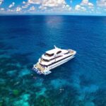 Great Barrier Reef Cruise - Gold Class VIP Lounge Package - Final Thoughts: Who Should Consider This Tour?