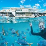 Great Barrier Reef Full Day Adventure - The Value for Money
