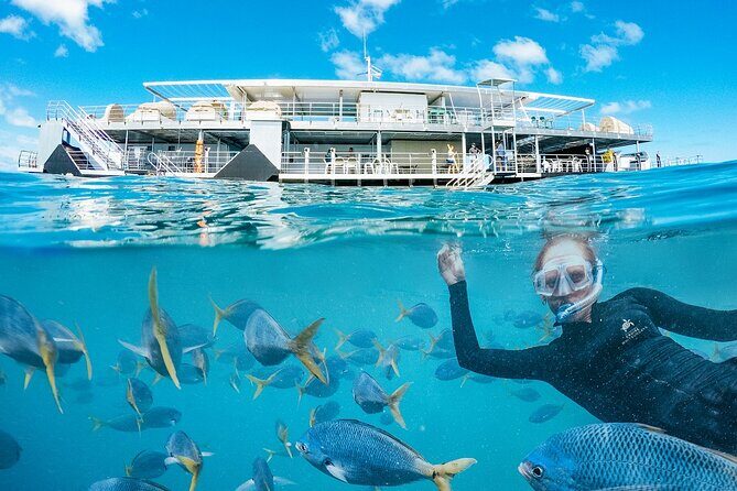 Great Barrier Reef Full Day Adventure - The Value for Money