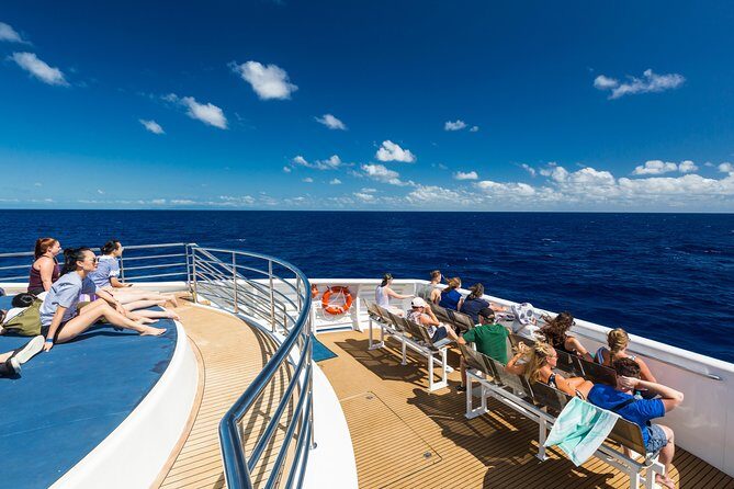 Great Barrier Reef Snorkeling and Diving Cruise from Cairns - What to Expect on the Day