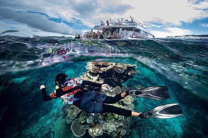 Great Barrier Reef with Cultural Guides-Dreamtime Dive & Snorkel - The Experience At a Glance