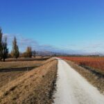 Great Escape Self-Guided Scenic Cycle Winery Tour from Napier - What Travelers Are Saying