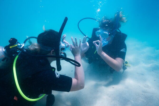 Great Keppel Island PADI Discover Scuba Dive with Keppel Dive - Why Travelers Rave About This Experience