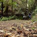 Great Lake Trail Lake Taupo 2-Day Mountain Biking Tour - The Sum Up