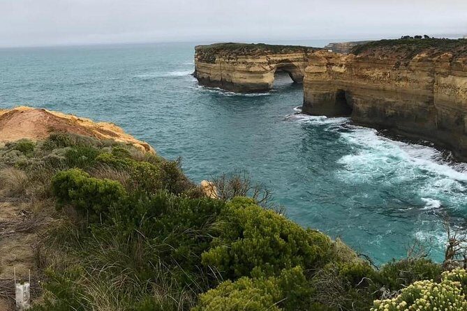 Great Ocean Road 12 Apostles kangaroo, koala and chocolate tour - Pricing and Value for Money