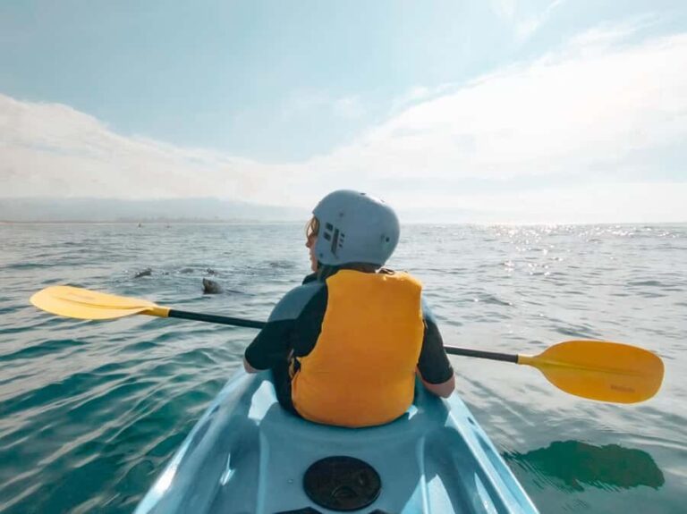 Great Ocean Road: Kayaking with Seals Tour - Why This Tour Offers Good Value