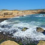 Great Ocean Road Private Day Tour - What’s Included & Not Included