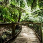 Great Ocean Road Reverse Rainforest & 12 Apostles from Melbourne - Analyzing the Value: Is It Worth It?