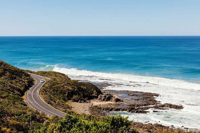 Great Ocean Road Reverse Tour with Iconic Stops & Wildlife - The Transport and Guides: Comfort & Knowledge