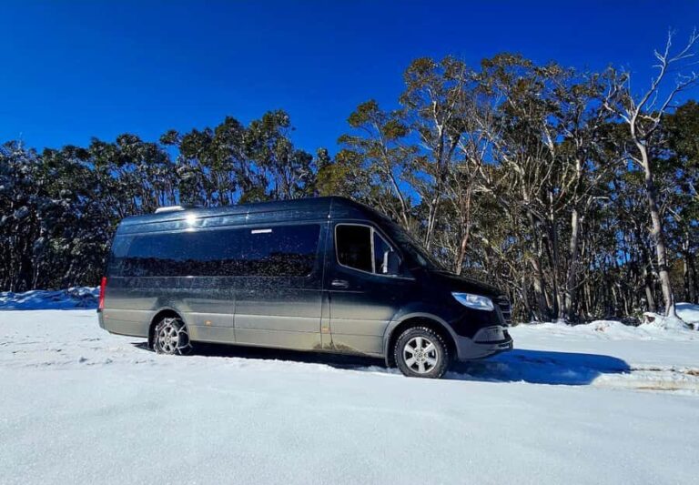 Great Private Tours Luxe Bus Lake Mountain Snow Play Tour - The Itinerary in Detail