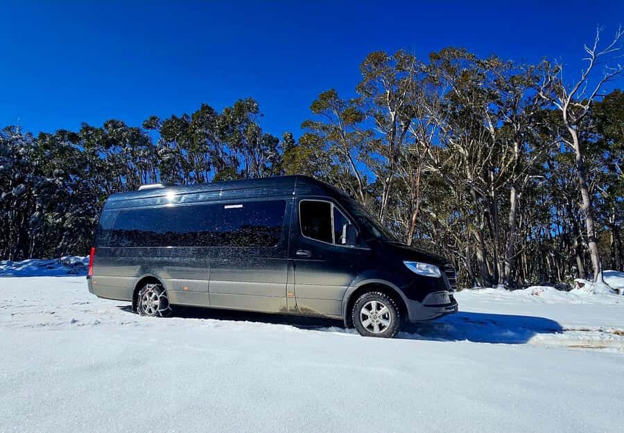 Great Private Tours Luxe Bus Lake Mountain Snow Play Tour - The Itinerary in Detail