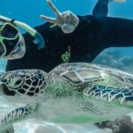 Green Island Full Day Trip from Cairns with City Transfers - Pricing & Value for Money