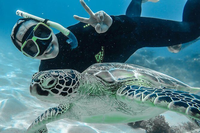 Green Island Full Day Trip from Cairns with City Transfers - Pricing & Value for Money