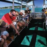 Green Island Half-Day Trip from Cairns - Detailed Breakdown of the Itinerary