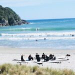 Group Beginner Surf Lesson in Mount Maunganui - What to Expect from the Mount Maunganui Surf Lesson