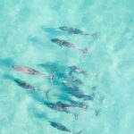 Group Surf Lesson in Corny Point - What Makes This Surf Lesson Special?