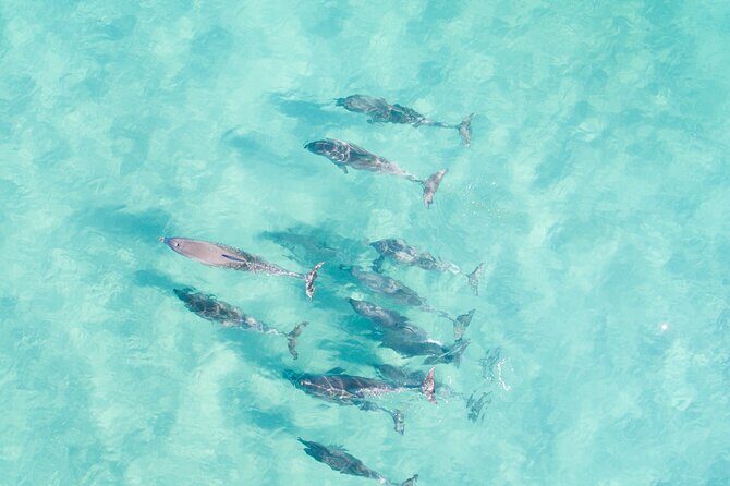 Group Surf Lesson in Corny Point - What Makes This Surf Lesson Special?
