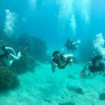 Guam's Best Beach Diving! Beginner and Advanced Dives - The Sum Up: Who Will Love This Experience?
