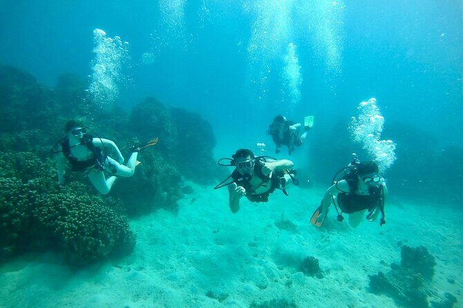 Guam's Best Beach Diving! Beginner and Advanced Dives - The Sum Up: Who Will Love This Experience?