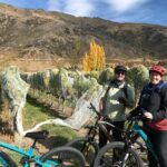 Guided eBike Wine Tour Ride to the Vines - Price and Value Considerations