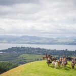 Guided Horse Trekking from Rotorua - Final Thoughts