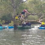 Guided Kayak Adventure Tour - Practical Details: What You Need to Know