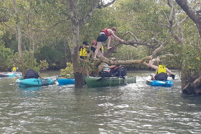 Guided Kayak Adventure Tour - Practical Details: What You Need to Know