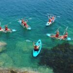 Guided Kayak Tour of Manly Cove Beaches - Who Will Love This Experience?