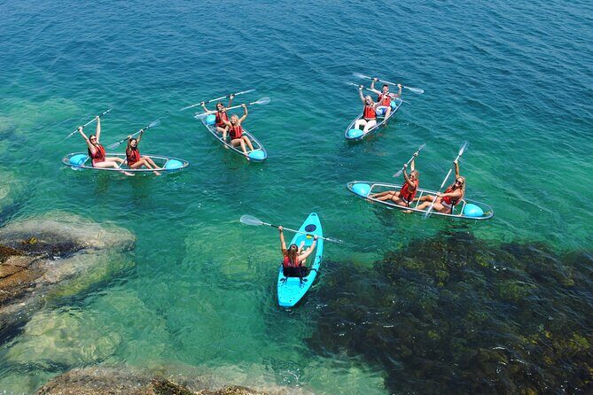 Guided Kayak Tour of Manly Cove Beaches - Who Will Love This Experience?