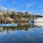 Guided Kayak Tour on Launceston's scenic waterfront on foot powered Hobie kayaks - Detailed Breakdown of the Experience