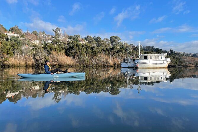 Guided Kayak Tour on Launceston's scenic waterfront on foot powered Hobie kayaks - Detailed Breakdown of the Experience