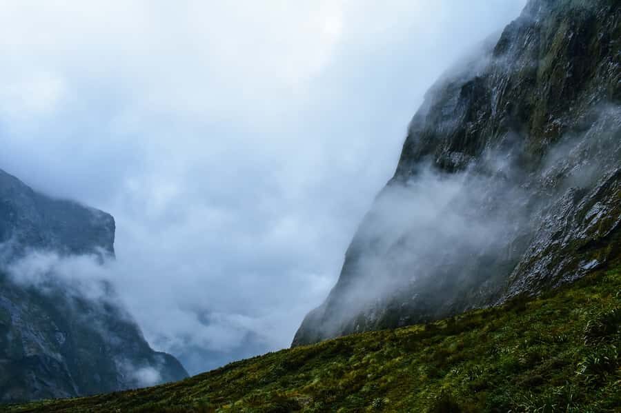 Guided Private Milford Sound Day Tour from Te Anau(Cruise In - Authentic Experiences and Positive Feedback from Travelers