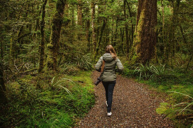 Guided Private Milford Sound Day Tour from Te Anau(Cruise Included) - The Value of the Price