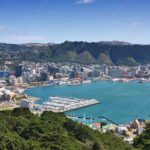 Guided Small Group Walking Tour in Wellington - Off-the-Beaten-Path Neighborhoods and Cuba Street