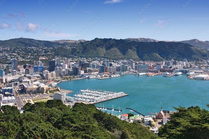 Guided Small Group Walking Tour in Wellington - Off-the-Beaten-Path Neighborhoods and Cuba Street