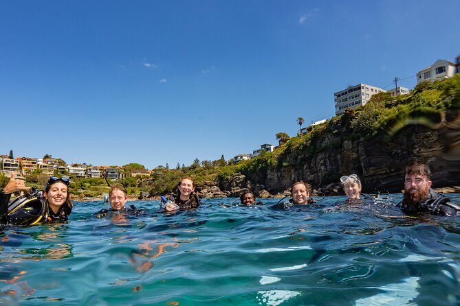 Guided Snorkeling Experience in Bondi - Who Should Consider This Tour?