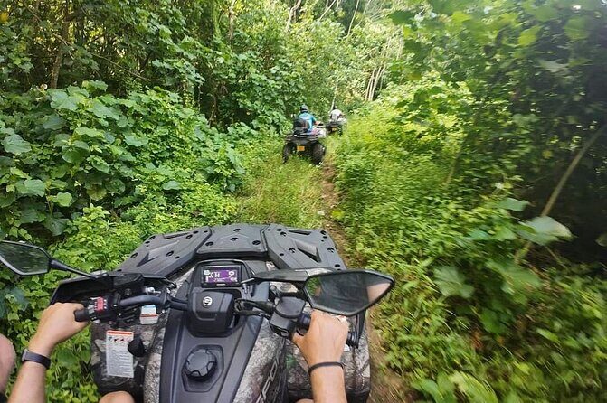 Guided tour of the island and its escapades in Tahaa by Quad / ATV - The Value of This Tour