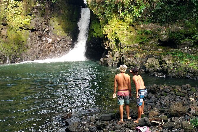 Guided Tour to Primeval Crystal Waters of Samoa - Who Will Love This Tour?