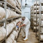 Guided Tour with Cheese & Wine Pairing - The Experience in Detail