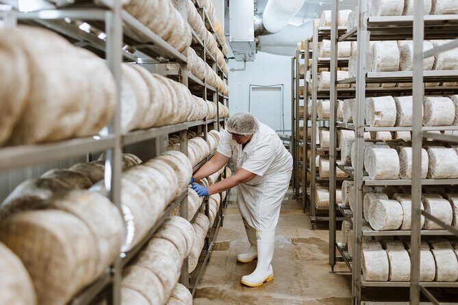 Guided Tour with Cheese & Wine Pairing - The Experience in Detail