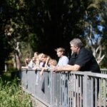 Guided Warriparinga Cultural and Historical Tour - Who Should Consider This Tour?