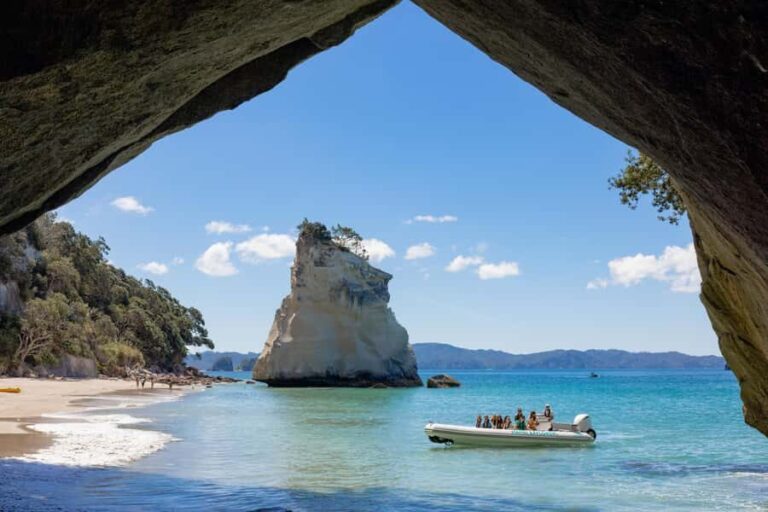 Hahei Explorer Cathedral Cove Boat Tour - The Itinerary and What It Offers