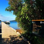 Half-Day Cruise in Marlborough Sounds from Picton - The Real Value of This Tour