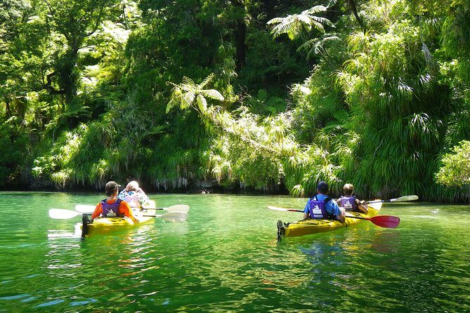 Half-Day Guided Sea Kayak Trip from Picton - Who Will Love This Tour?