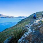 Half Day Guided Walking Tour on Banks Peninsula - Transportation and Logistics